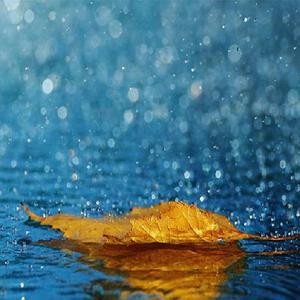 91♥️丨PORNY丨少妇
